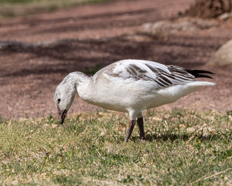 20250228-HillFarm-139-Edit.jpg