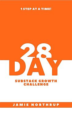 photo of book cover of 28 Day Substack Challenge by Jamie Northrup