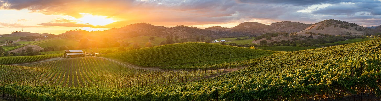 Napa Vineyards Sunset - VAST