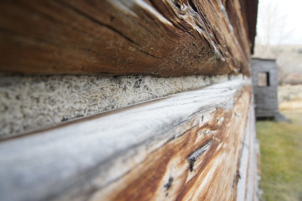 Chinking in the cracks of a cabin.