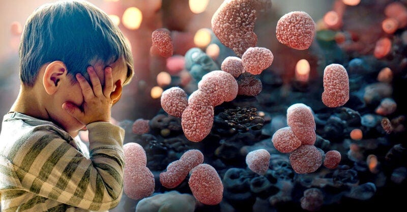 gut microbiome autism feature