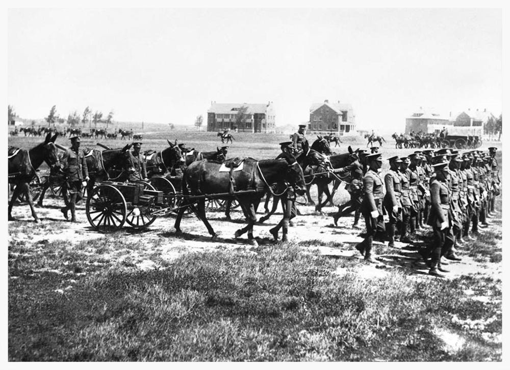 U.S. Army Remount Service site in Wyoming in 1927 (photo courtesy of Wyoming State Archives)