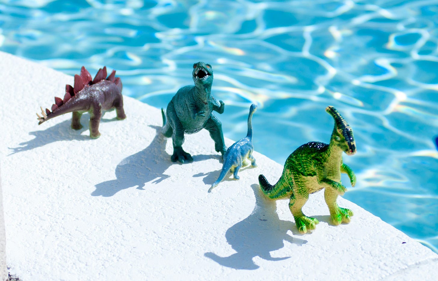 Four plastic dinosaur figurines set up along the edge of a brilliantly blue swimming pool on a sunny day.