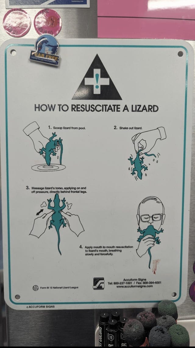 r/comedyheaven - How to resuscitate a lizard