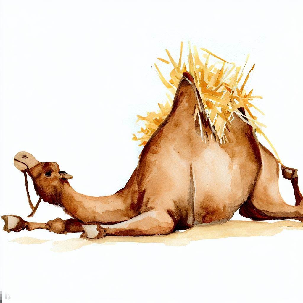 straw broke camel's back, camel is splayed  out, head and belly flat on the ground, broken back, comical, watercolor