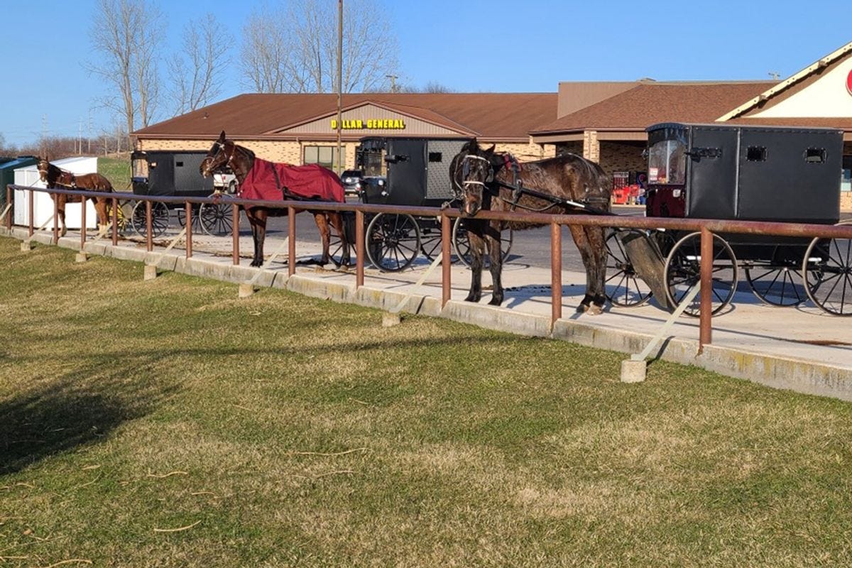 Amish Buggies