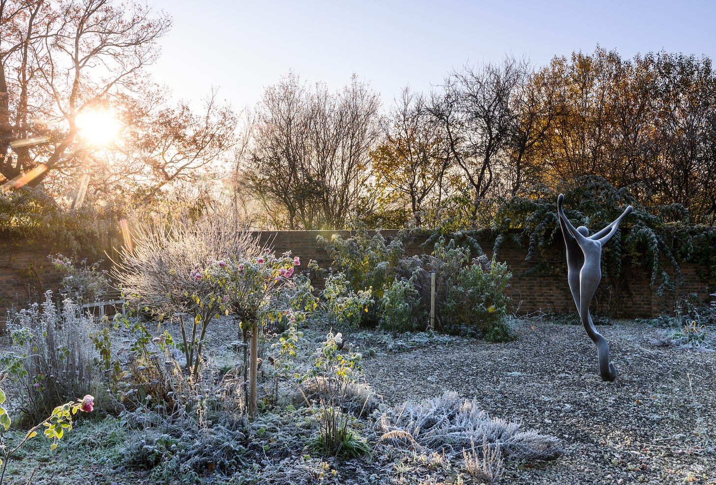 Frosty walled garden at sunrise, with figurative garden sculpture