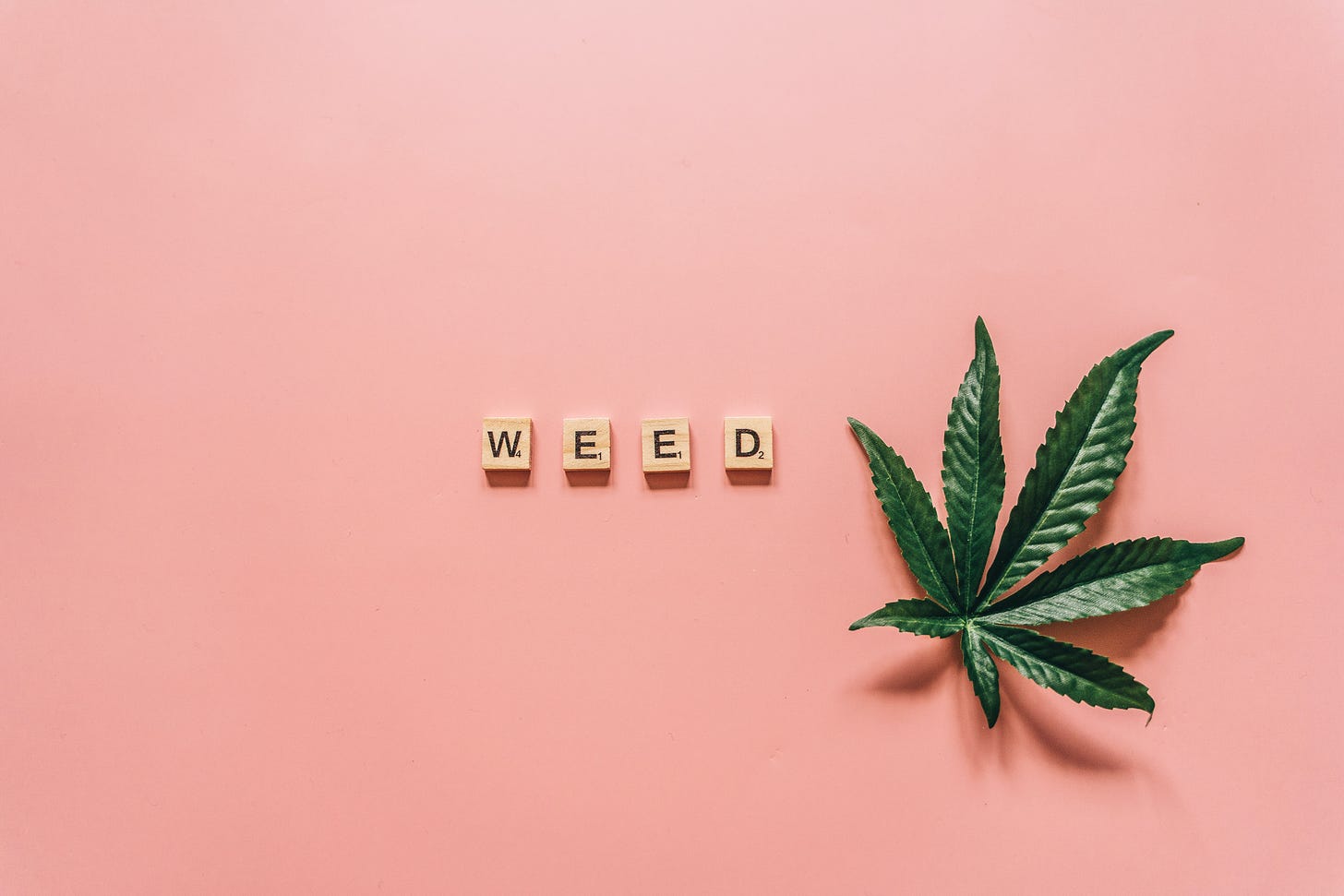 Scrabble tiles spell out “weed” on a pink background, and a fresh, dark green, cannabis leaf sits next to it on the right.
