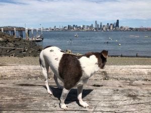 Seattle