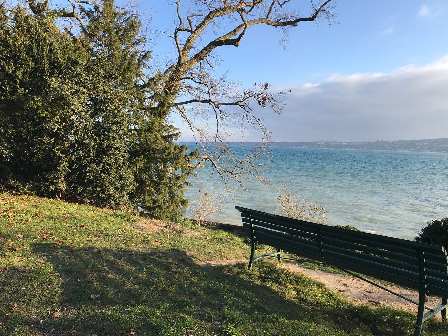 An empty bench on a green hill overlooks Lake Geneva on a sunny day