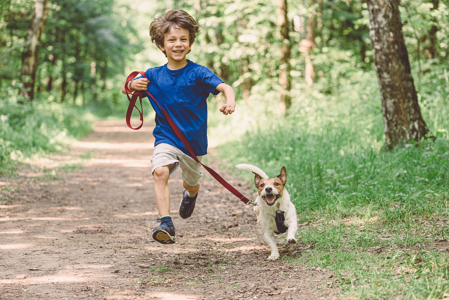 This picture captures movement: A boy is running through the woods with his dog. you can see the dog's tail moving behind him, and the boy's hair is lifting into the air as he moves. The boy is wearing a royal blue shirt; the dog is small, with a white body and white and brown face.