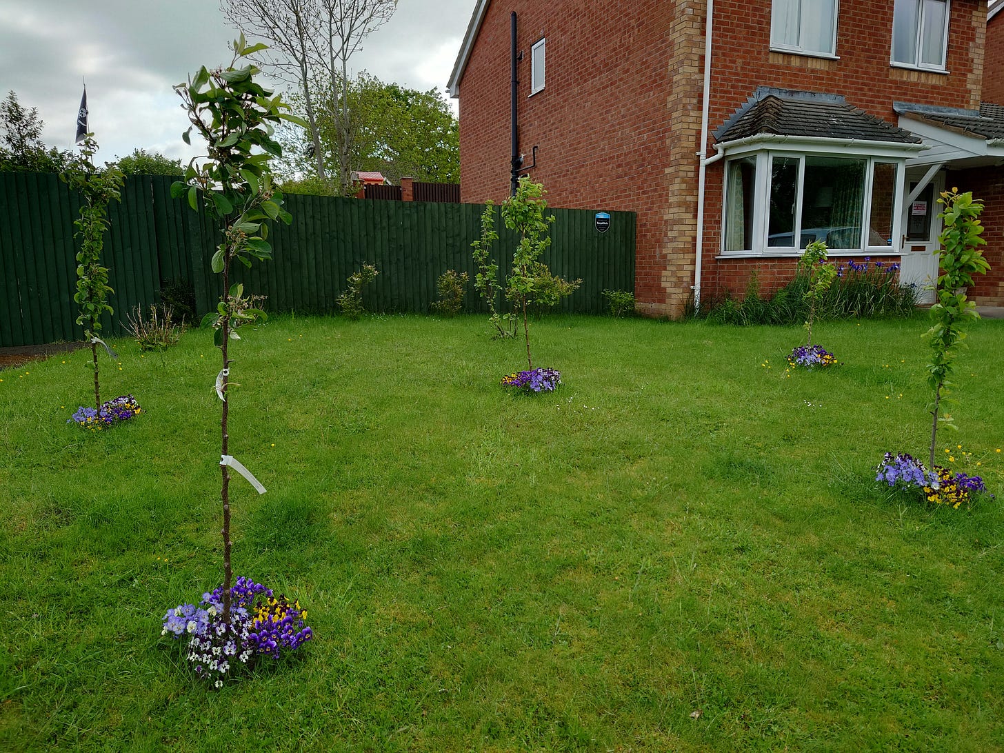 Front garden including dwarf mini-orchard