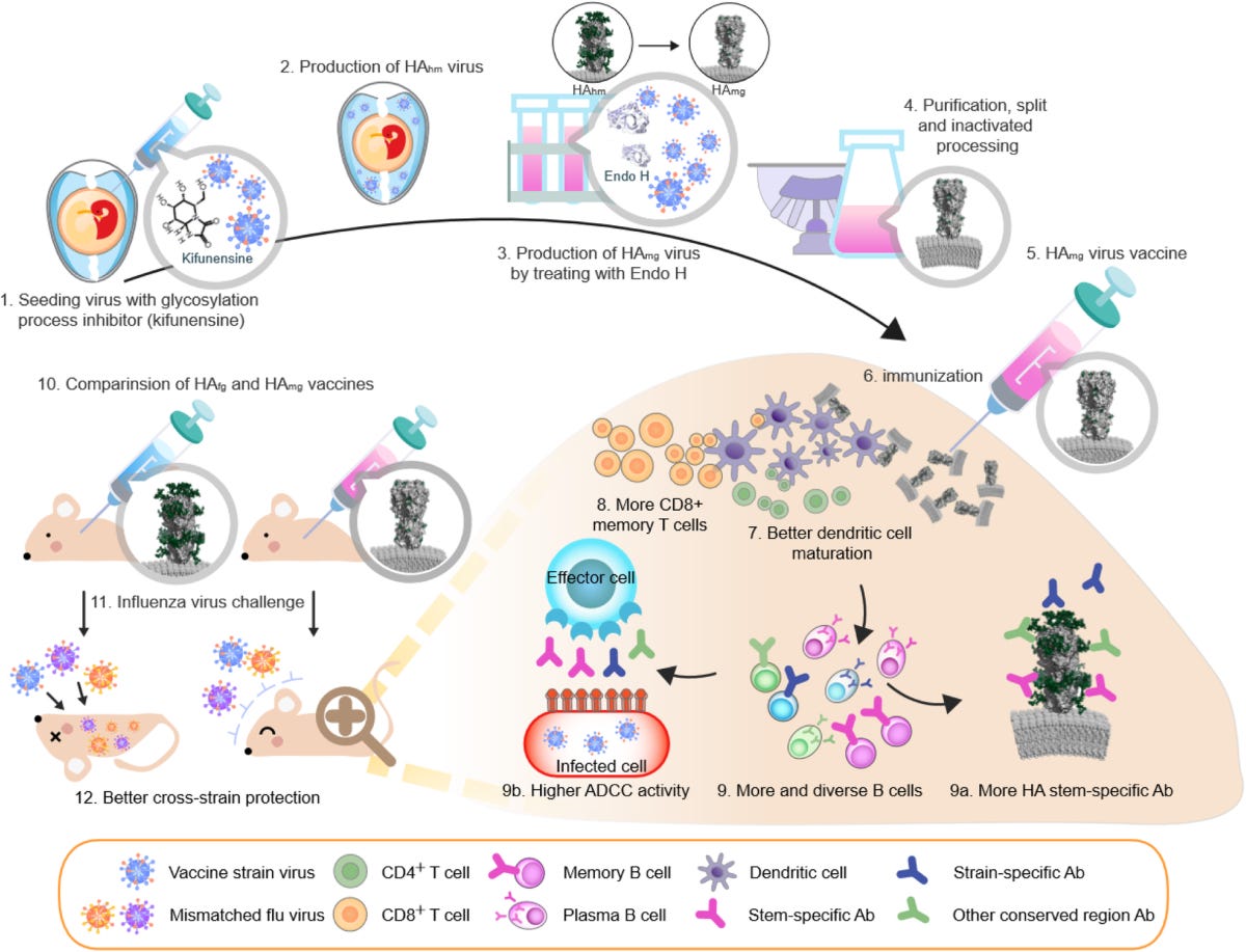 Better influenza vaccines: an industry perspective | Journal of Biomedical  Science | Full Text