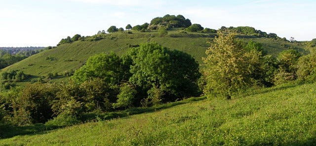 File:St Catherines Hill from Twyford Down - geograph.org.uk - 180531.jpg