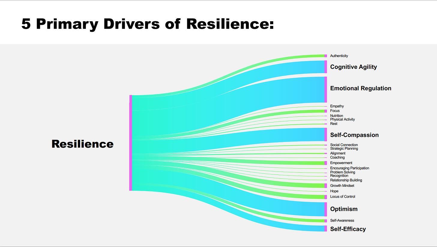 a sankey diagram showing the main contributors to resilience, the top five are emotional regulation, cognitive agility, self-compassion, optimism, and self-efficiacy