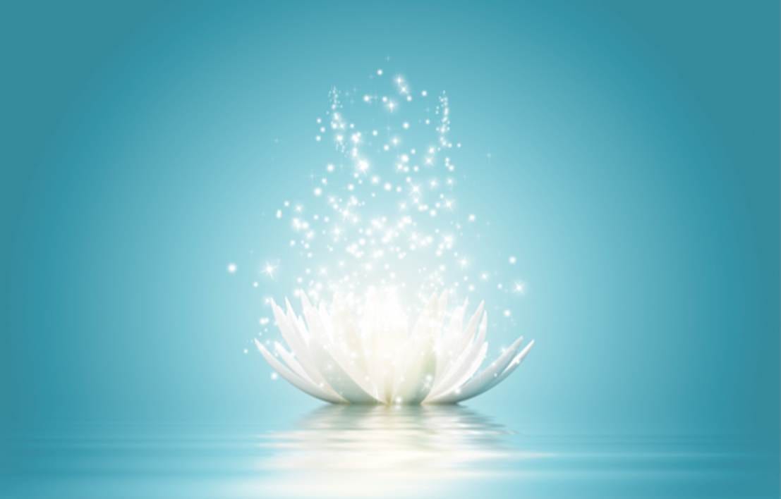 A white flower with sparkles coming out of it

AI-generated content may be incorrect.