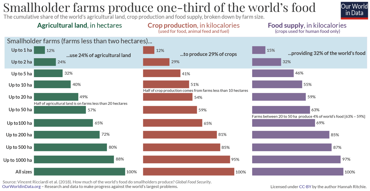 Graph from Our World in Data Showing different farm sizes and what they produce as crops and as food supplied in kilocalories.