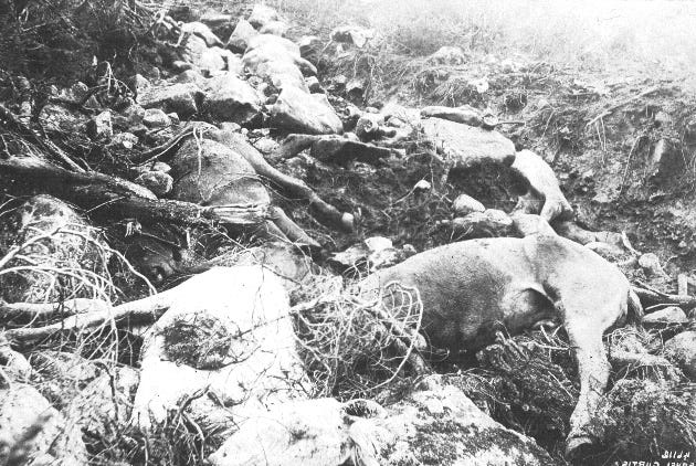 refer to caption refer to caption