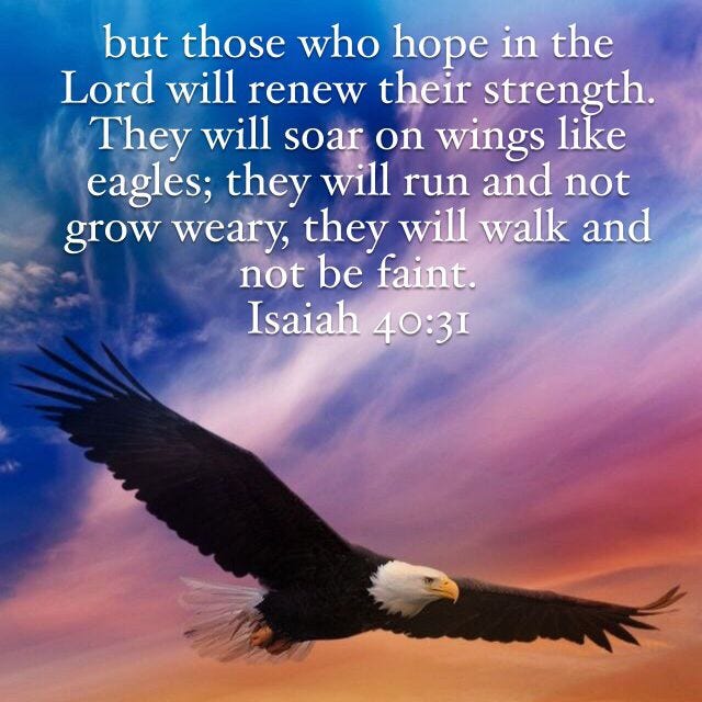Isaiah 40:31, New International Version (NIV) | Bible, Isaiah 40 31, Isaiah