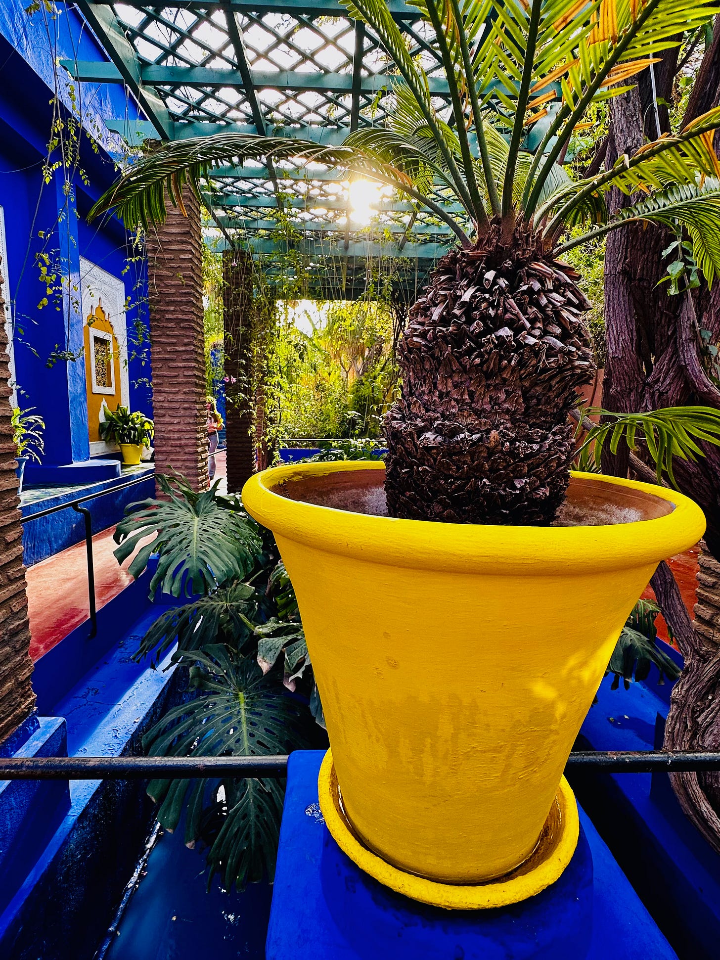 Jardin Majorelle, Marrakesh, Morocco 