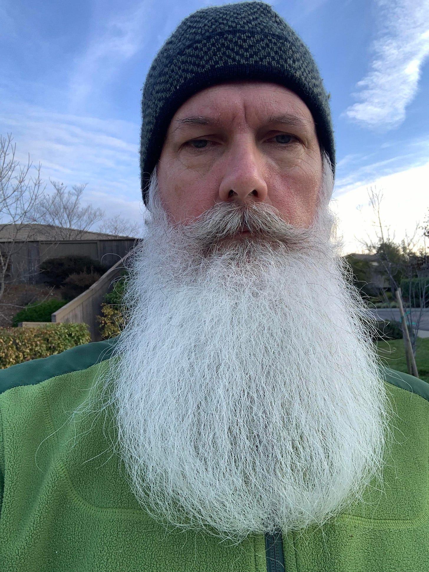 To all the dudes posting their "snow beards" from Canada and other cold  places, the best I can do is a white beard from balmy (60 degrees)  California : r/beards