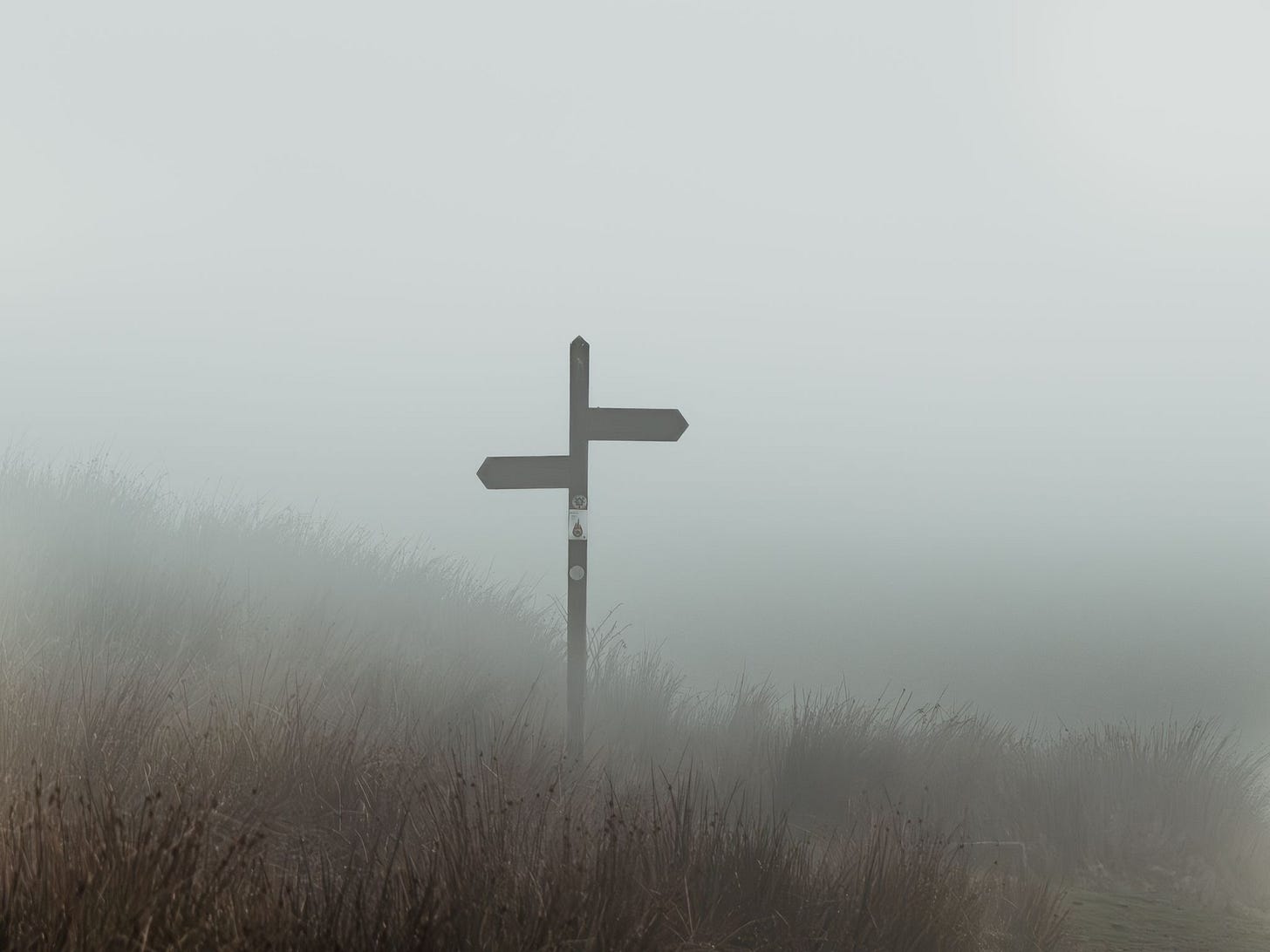 Photograph of a two-way signpost against a backdrop of thick mist. The signpost is stood in tall wilting grass.