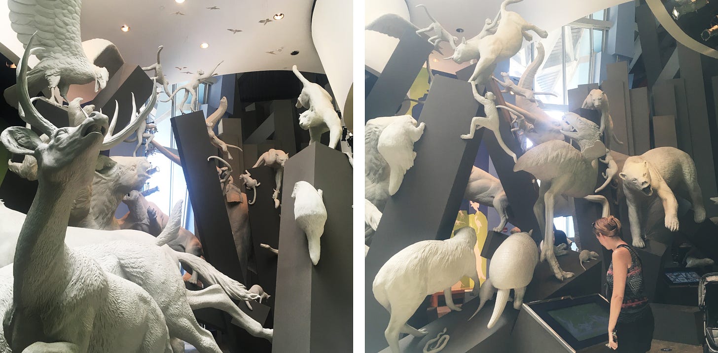 Two images showing white animal sculptures roaming across a museum exhibition space