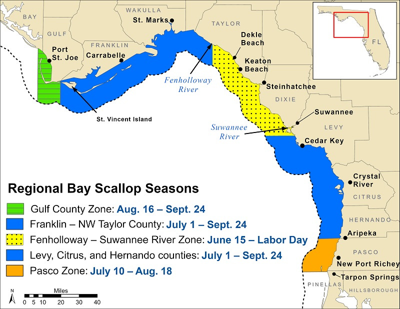 Scallop Map 2024