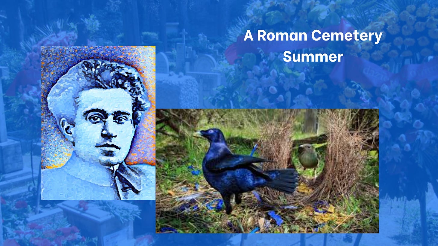 Images of Antonio Gramsci and the Blue Satin Bowerbird against a background of Gramsci's grave, shaded blue. The title reads, 'A Roman Cemetery. Summer'