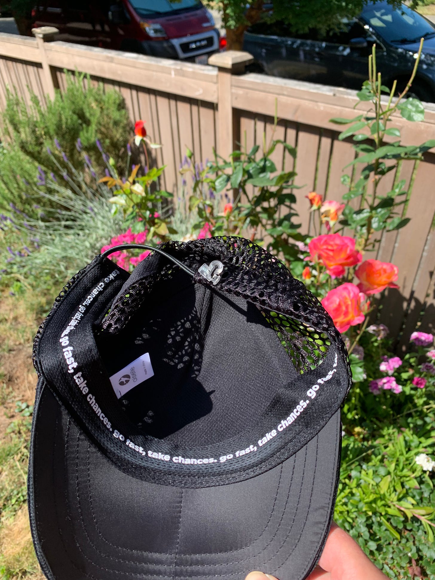 Photo shows the inside of Oiselle's Runner Trucker hat. The words "go fast, take chances." are repeated around the circumference of the sweatband. The pic also shows a blurry bit of my garden on a sunny day.
