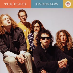 The Fluid Overflow Vinyl Reissue Sub Pop