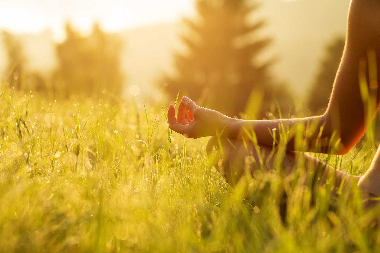 Nude woman meditating in a field