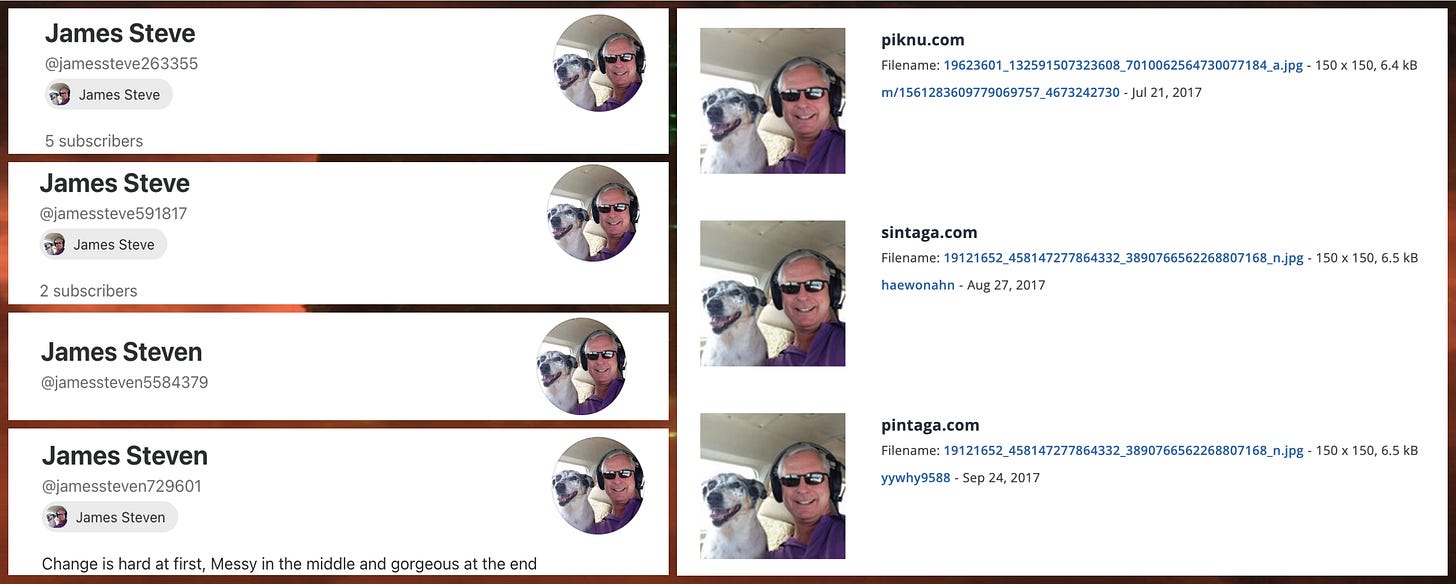 screenshots of four Substack accounts that use the same profile photo of a man and a dog, and reverse image searches showing the photo is plagiarized