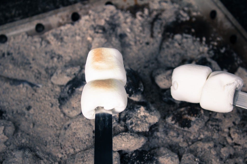 toasted marshmallow