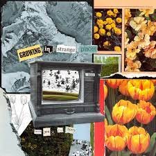 Growing in Strange Places - Album by Thank You, I'm Sorry - Apple Music