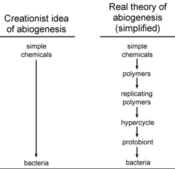 Since Spontaneous Generation-abiogenesis was disproved in 1859 by Louis  Pasteur, where did life come from? - Quora
