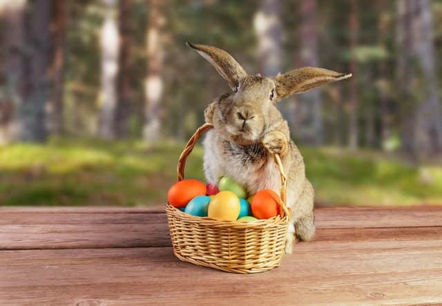 The Easter bunny has long been associated with the holiday of Easter, but where does the famous rabbit come from and what’s his role?
