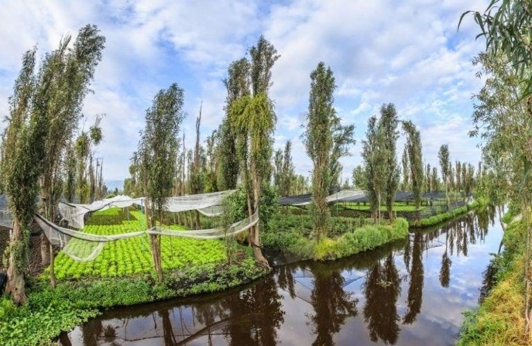 Heritage zone of Xochimilco: Tlahuac and Milpa alta, Mexico City. The  importance of Nature-Based Solutions | NetworkNature