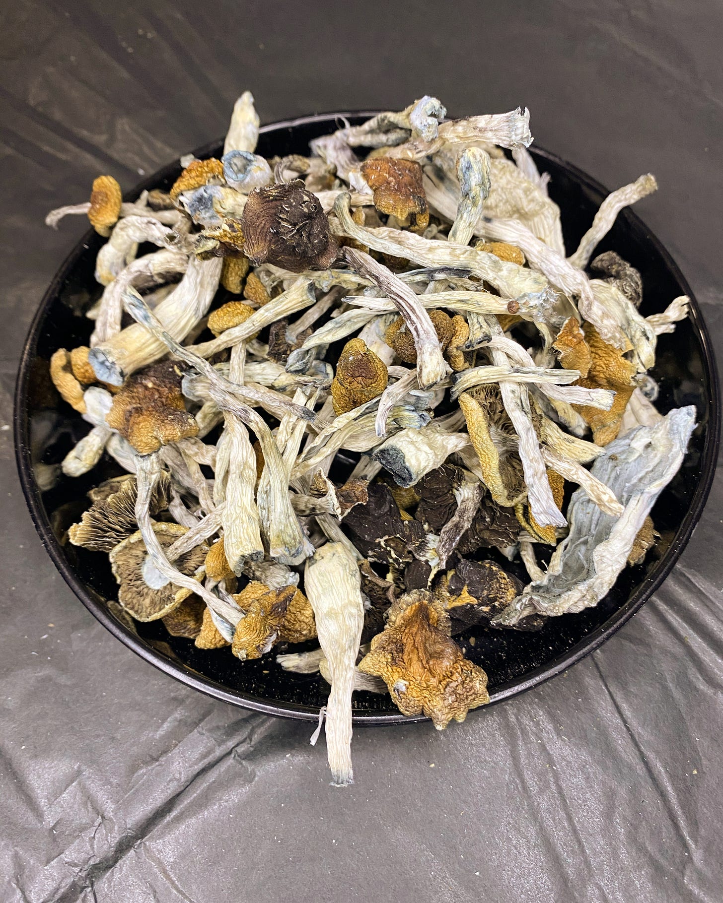 QuadCityTO Mushrooms Co. FollowTheGreenParrot.ca