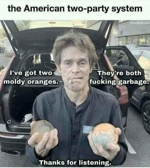The American Two-Party System: Two Moldy Oranges