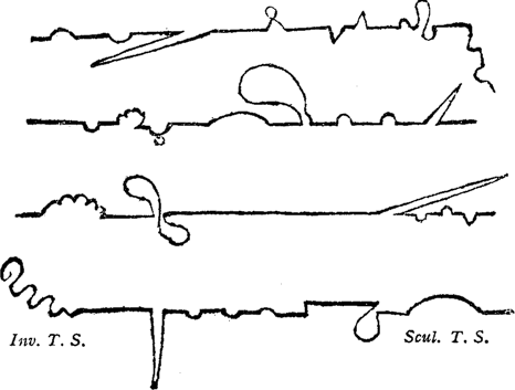 File:Tristram Shandy Plot lines.png - Wikipedia