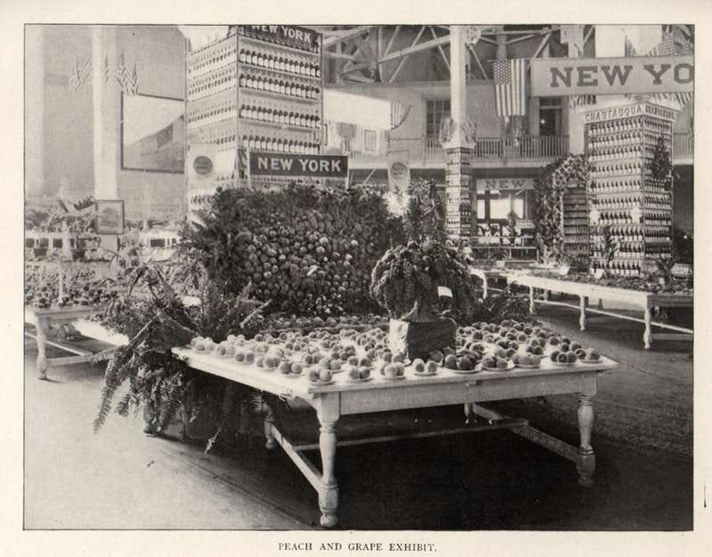 A large display of the peach and grape exhibit in New York in 1902