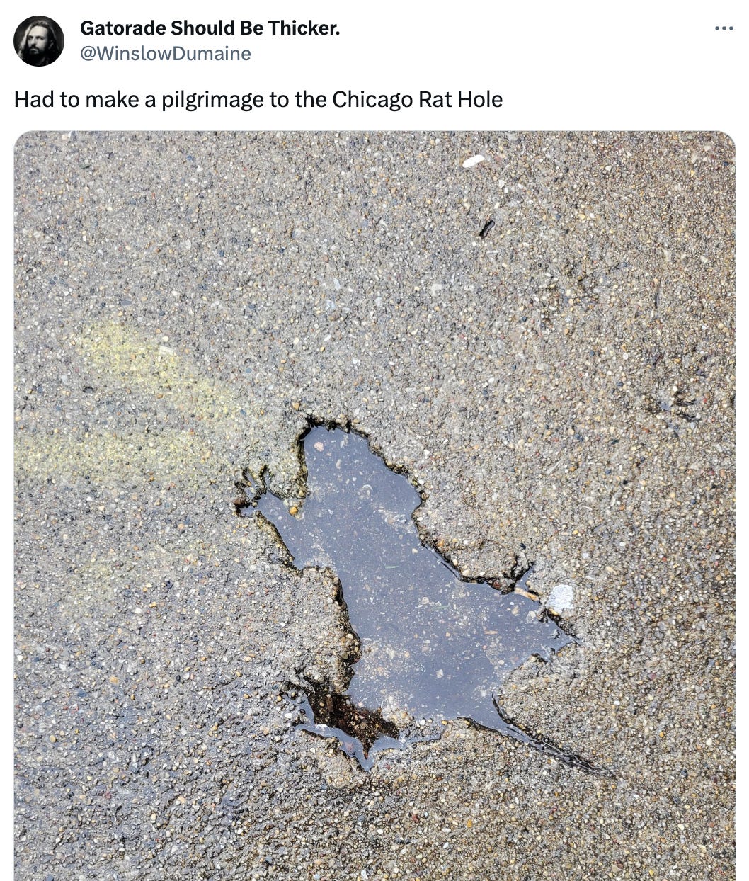 Tweet from @WinslowDumaine featuring the "rat hole", a spot in the sidewalk that looks like a rat got pressed into the wet concrete.