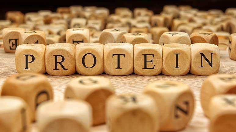 protein guidance