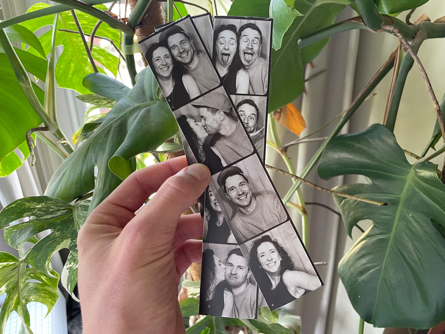 A photo of some photobooth prints of me and my wife, in front of a monstera plant.
