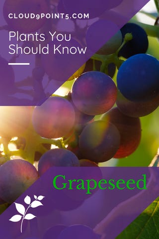 Grapeseed | Cloud 9.5 | Pinterest