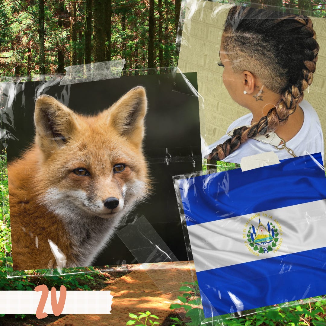collage of the forest with three pictures taped on top: a red fox, a flag from el salvador, and a picture of a brown person with shaved sides a dutch braid