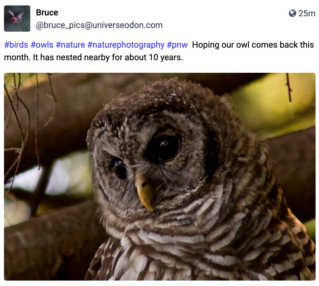 Hoping our owl comes back this month. It has nested nearby for about 10 years.