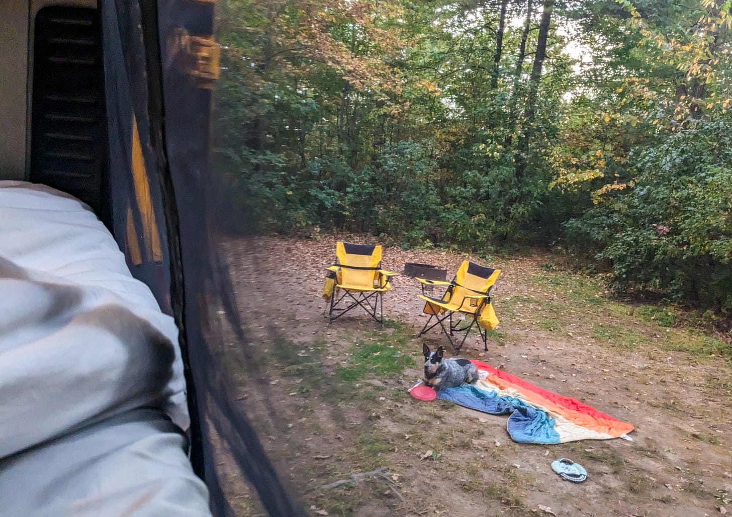 The view from inside our converted camper van's bed looking out at our campsite, where Scout the blue heeler lounges on a blanket