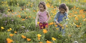 Twins Gabriel and Camille, 6yrs with mum Nathalie Segeral of Forest Lodge, enjoying the Wildflower Meadow at the start of Spring in Sydney on September 11, 2021. Photo:Â Anna Kucera